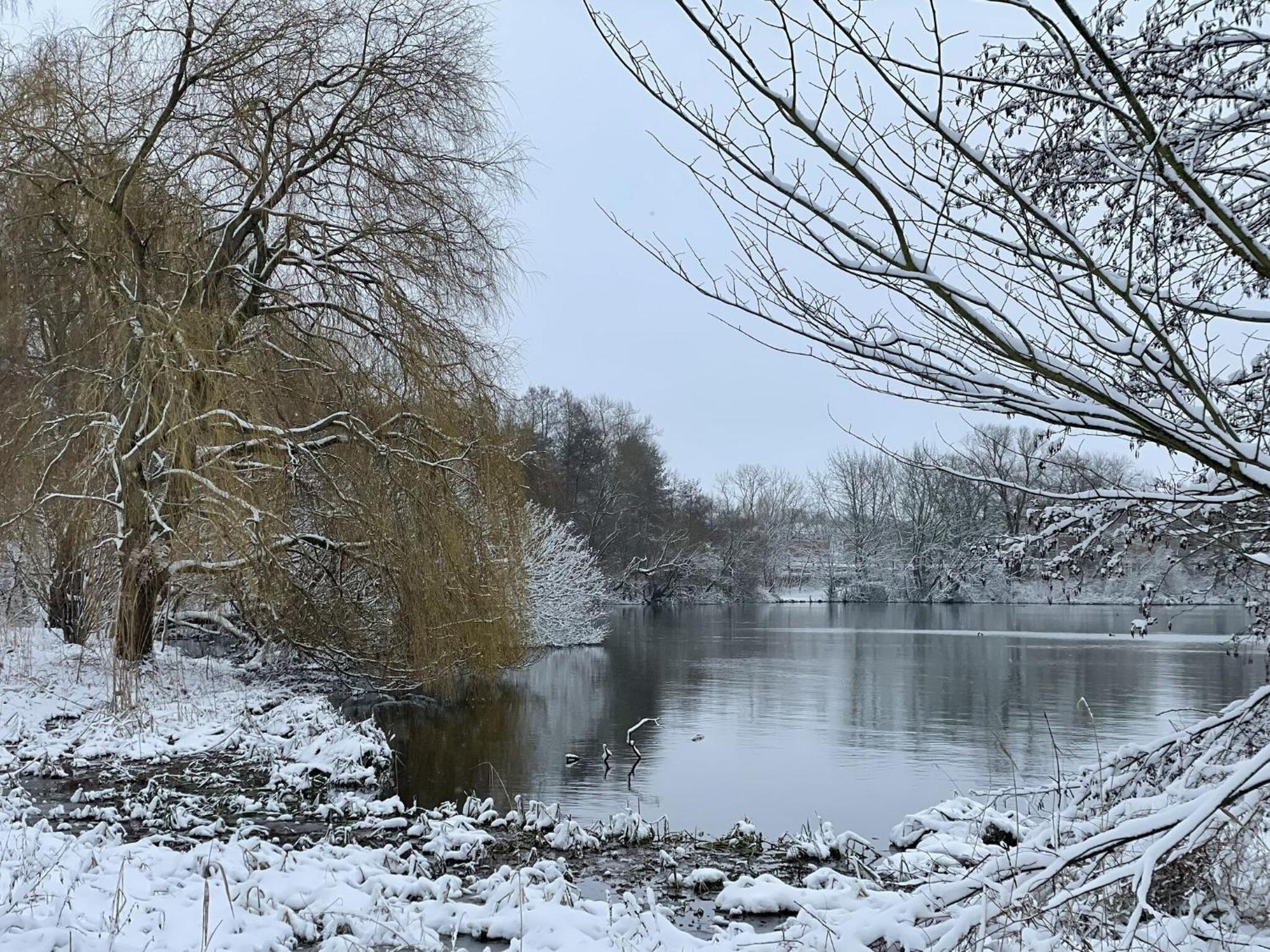 Flat In Eutin On The Kleiner Eutiner See Lake Eksteriør bilde