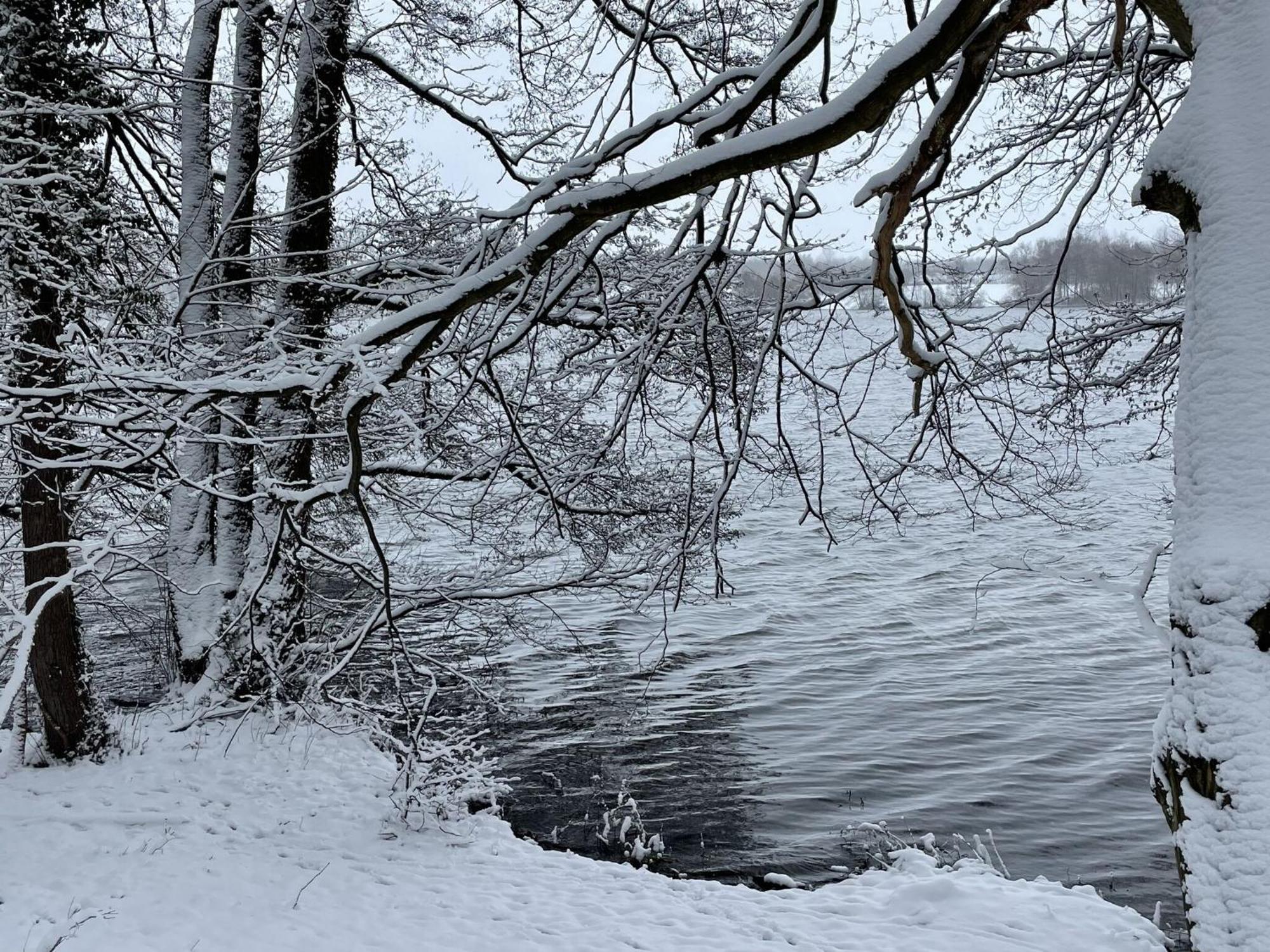 Flat In Eutin On The Kleiner Eutiner See Lake Eksteriør bilde