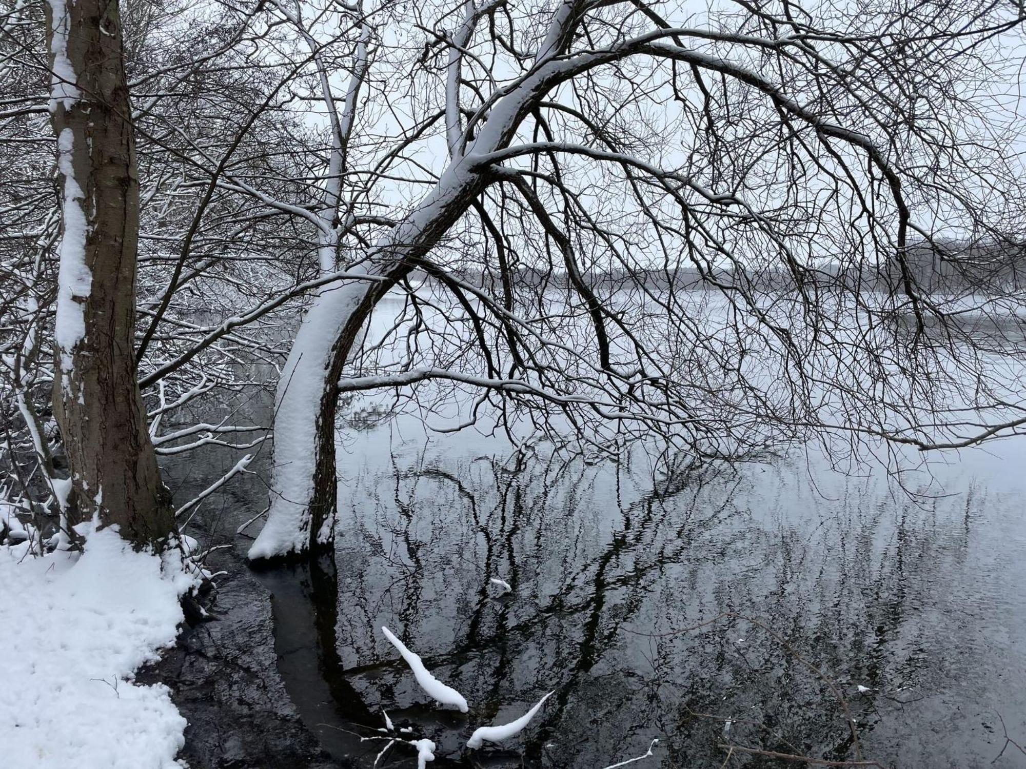 Flat In Eutin On The Kleiner Eutiner See Lake Eksteriør bilde