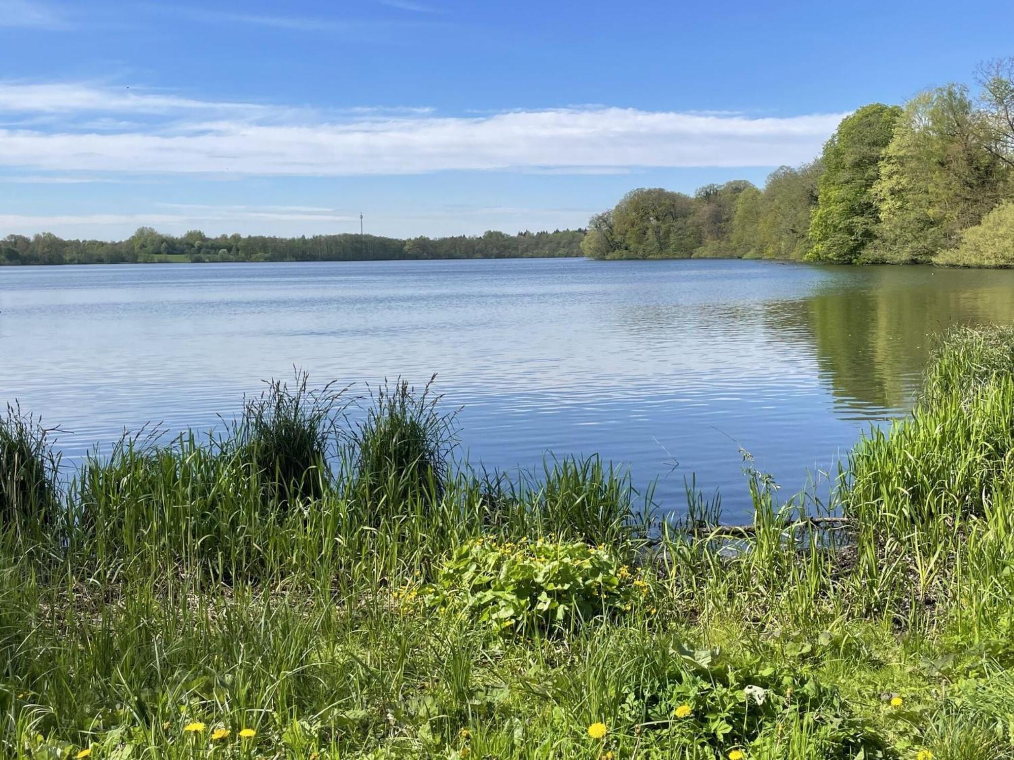 Flat In Eutin On The Kleiner Eutiner See Lake Eksteriør bilde